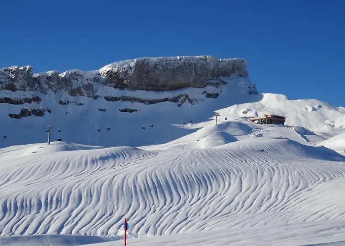 Harmonie Апартаменты