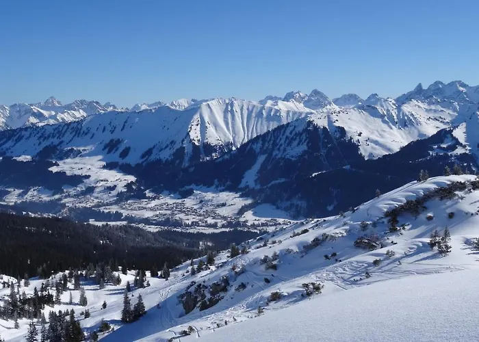 Апартаменты Harmonie Рицлерн